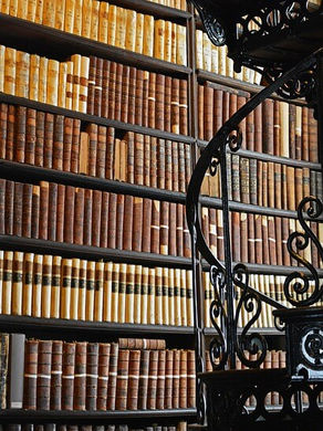 Book Covers for Roll of Thunder, Hear My Cry – Mildred D. Taylor The Door of No Return – Kwame Alexander Tristan Strong Punches a Hole in the Sky – Kwame Mbalia Anna Hibiscus – Atinuke Like Vanessa – Tami Charles 28 Days: Moments in Black History That Changed the World Bud, Not Buddy – Christopher Paul Curtis As Brave As You – Jason Reynolds Clean Getaway – Nic Stone Some Places More Than Others – Renée Watson