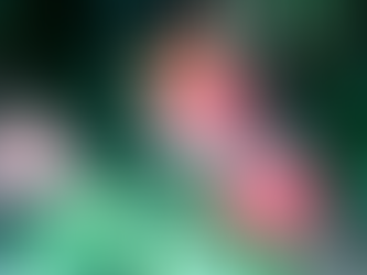 Ocean Star Offshore Drilling Rig Museum