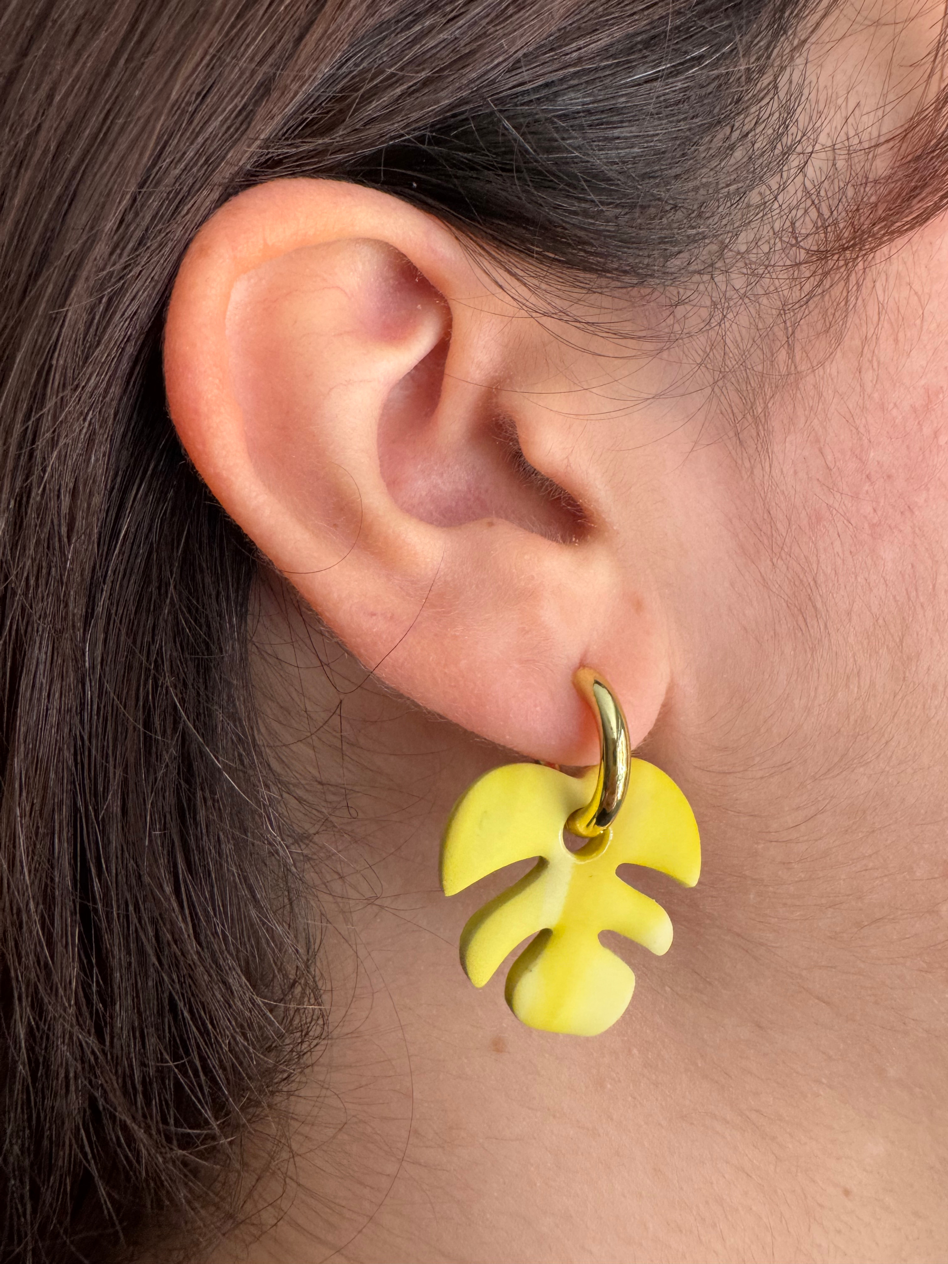 Charms monstera
