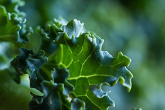 AdobeStock_103282022.jpeg