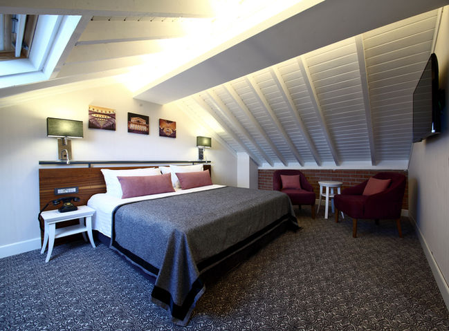 Roof Deluxe Suite (8).jpg