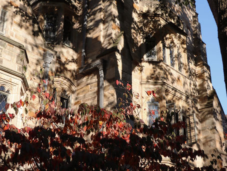 Make the most out of financial aid