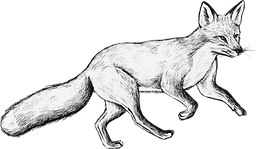fuchs.png
