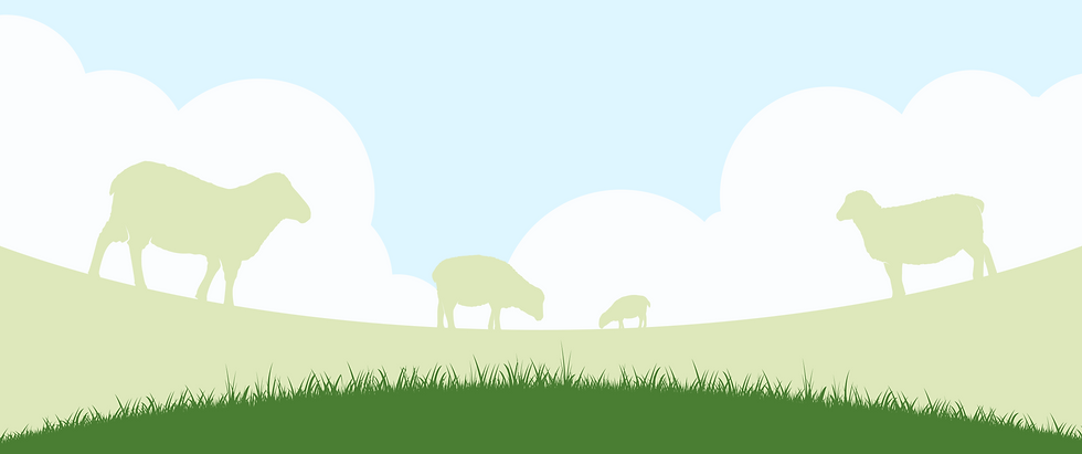 hintergrund schmall.png