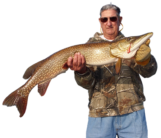 pike.png