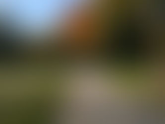 Die „vier apokalyptischen Reiter“