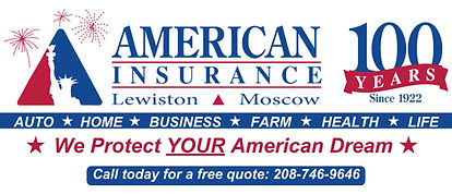 american insurance sponsorship logo jpeg.jpg