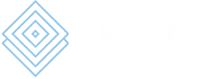 LUDUVICE (4).png