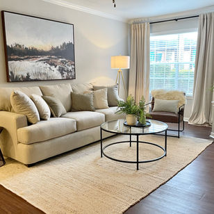 Alister Galleria Apartment Model- Houston, TX