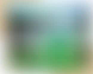 Pourquoi réserver ses activités avec GetYourGuide ?
