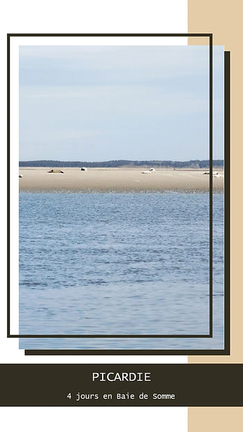 Baie de Somme