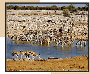 Page Namibie