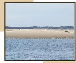 Page Hauts de France