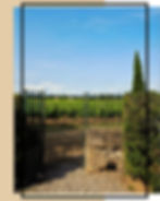 Domaine de la Dourbie Vignes