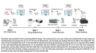HMH-CDI: Luminescence Screening for SARS-CoV-2 Inhibitors