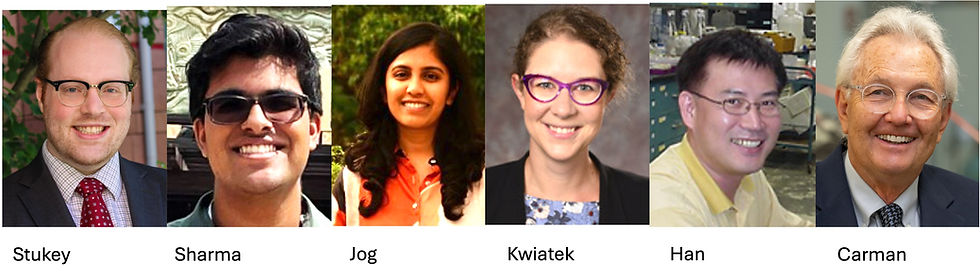 Deciphering the active site: Why motif conservation in Pah1 matters for yeast lipid homeostasis