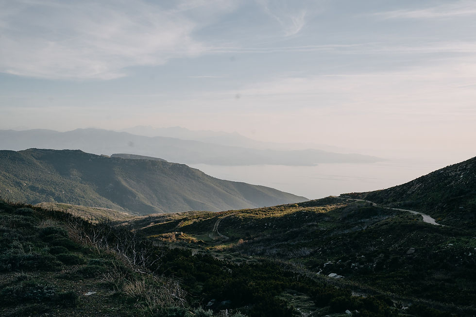 Wilde Landschaft mit Blick auf das Meer