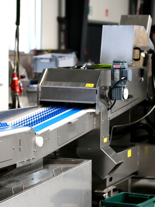 Auflegeteil einer Spargelsortiermaschine