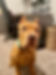 archie 2.jpg