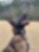 rage 2.jpg