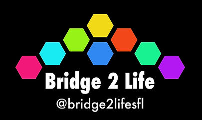 Bridge2Life Florida_edited.jpg