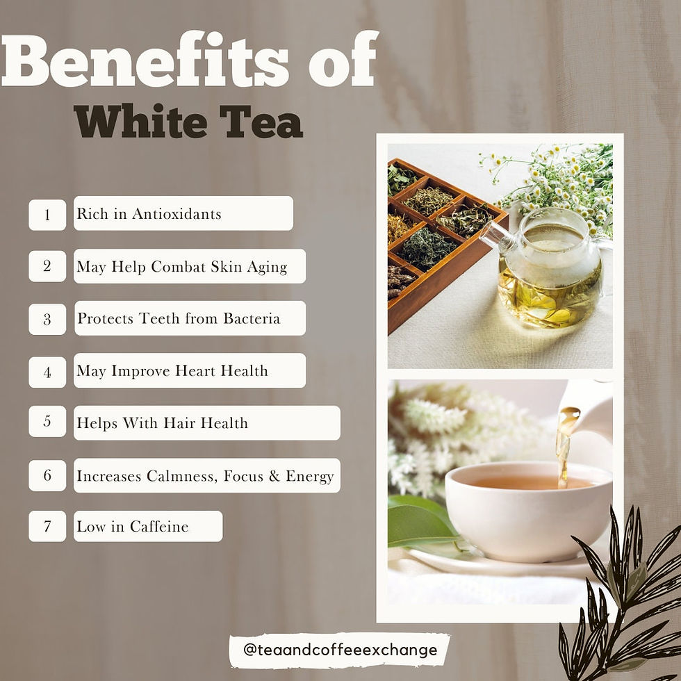 Thumbnail: Blueberry White Tea - Organic Loose Tea Blend With Pai Mu Tan, Low Caffeine, an