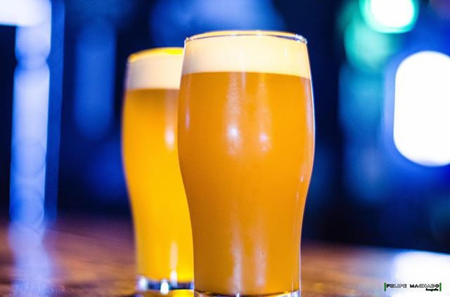 Hello Coalas! _Que tal tomar um chope ar