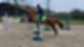 received_799866801411387.jpeg