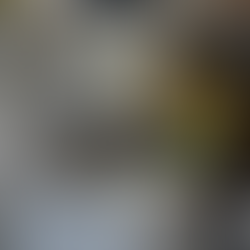 Jellycats at the Designer's Cat store in Athens,Greece.