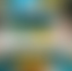 Pictures of Jellycats in Loft Ginza shop third floor in japan.