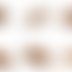 Best Ugg's of Amazon