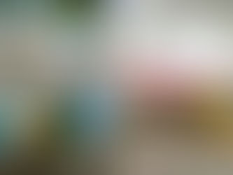 Jellycats at the Designer's Cat store in Athens,Greece.