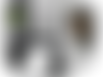 Máy in mã vạch là gì và cách máy in mã vạch hoạt động