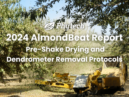 AlmondBeat #4 2024: Maximizing Yields: Pre-Shake Drying and Dendrometer Removal Protocols