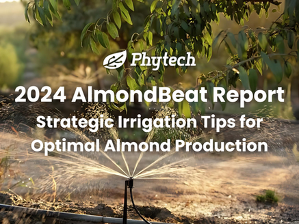 AlmondBeat #3 2024: Strategic Irrigation Tips for Optimal Almond Production