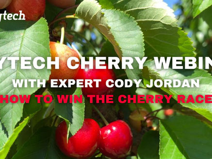 Phytech Cherry Webinar with Expert Cody Jordan: How to Win the Cherry Race.