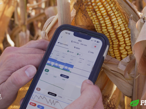 Grower Testimonial: Kevin Kissinger / R Lazy K Farm