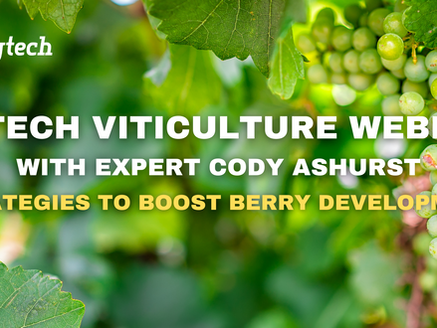 Phytech Viticulture Webinar with Expert Cody Ashurst: Strategies to Boost Berry Development.