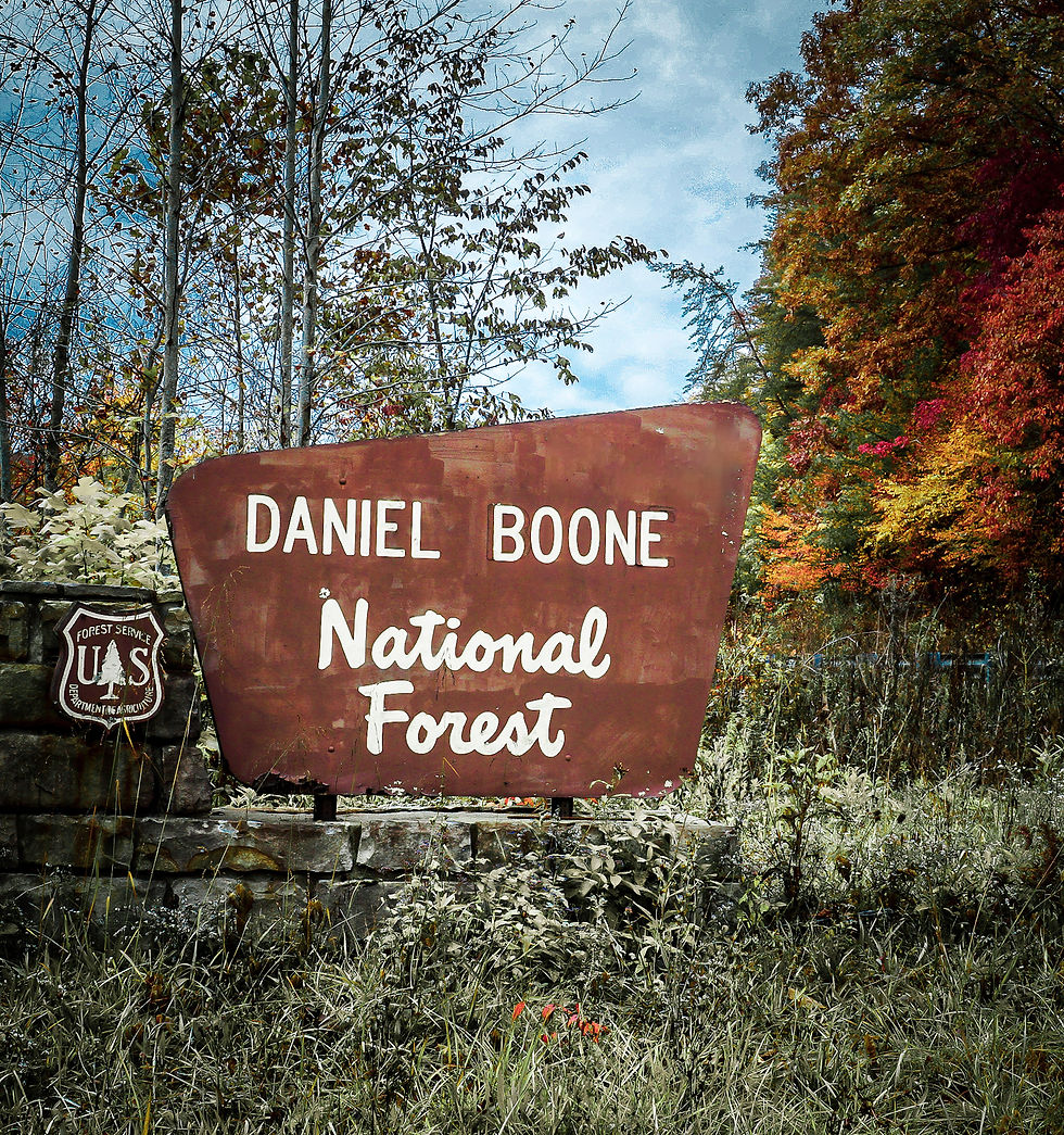 Daniel Boone National Forest