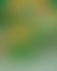 Par Toutatis, chance et tribu gauloise dans l'espace de jeux à Pleurtuit en mars 