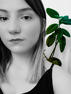 Screenshot 2025-11-27 at 20.33.22.png