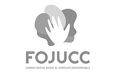 A1-web-logo_Fojucc.png