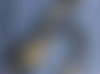 Fuji endoscope EG-450WR5