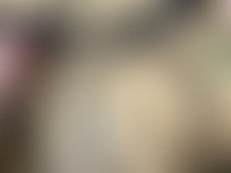 Olympus endoscope CF-HQ 290AI