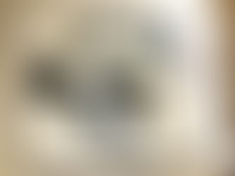 Fuji endoscope EG-6600R