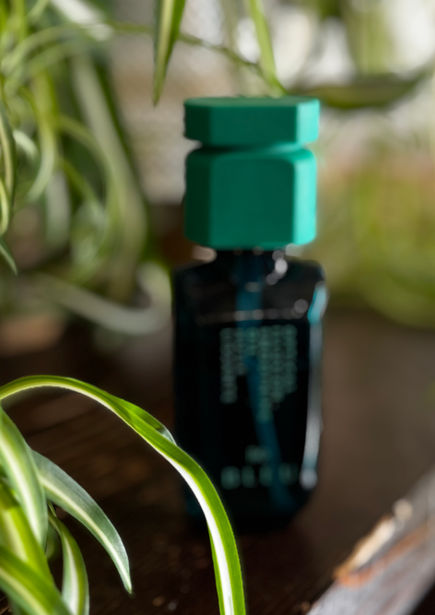 Reparative hair oil
