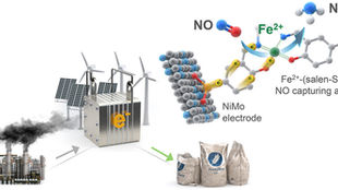 A new publication from Dr. Hyunjoo Lee's group – 2025.05.20