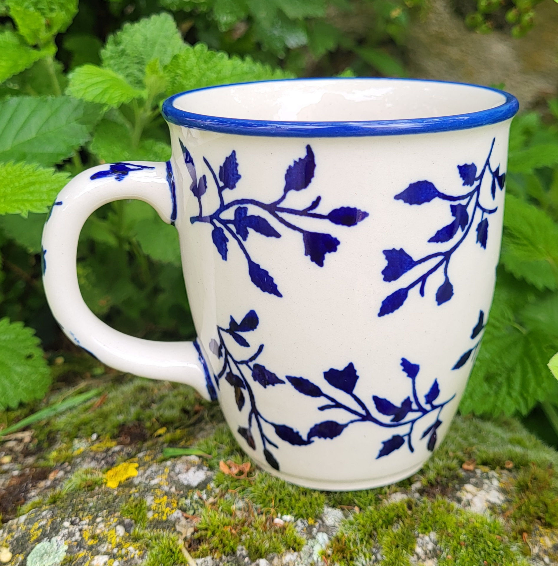 TASSE  MARS 
