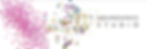 Ã bundance studio banner with sequence.jpg