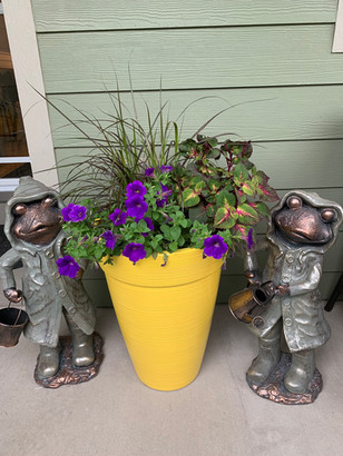 FROGS AND FLOWERS